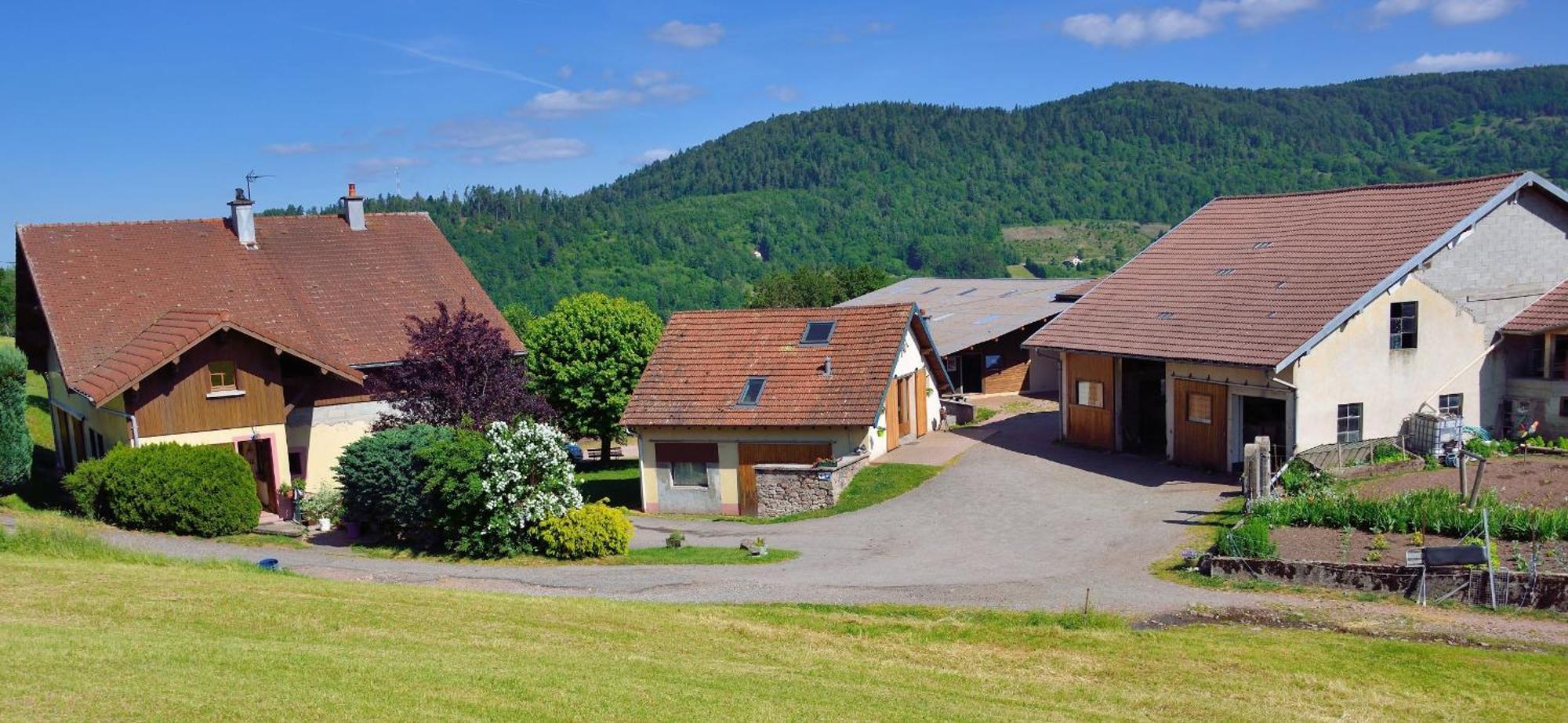 Chambres D'Hotes Hebergement F.Mathieu Saint-Maurice-sur-Moselle Exterior foto
