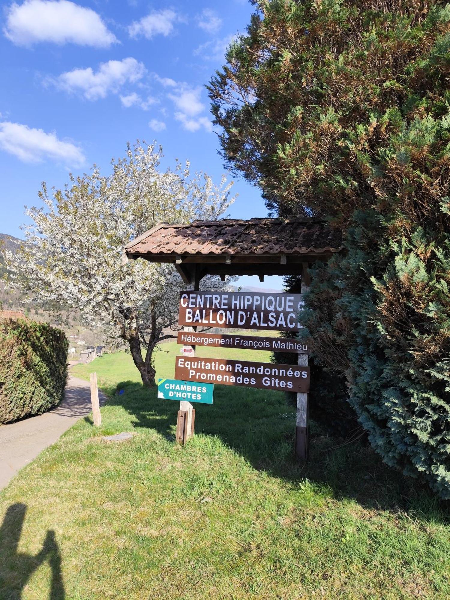Chambres D'Hotes Hebergement F.Mathieu Saint-Maurice-sur-Moselle Quarto foto